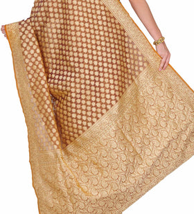 Golden Silk Georgette Saree