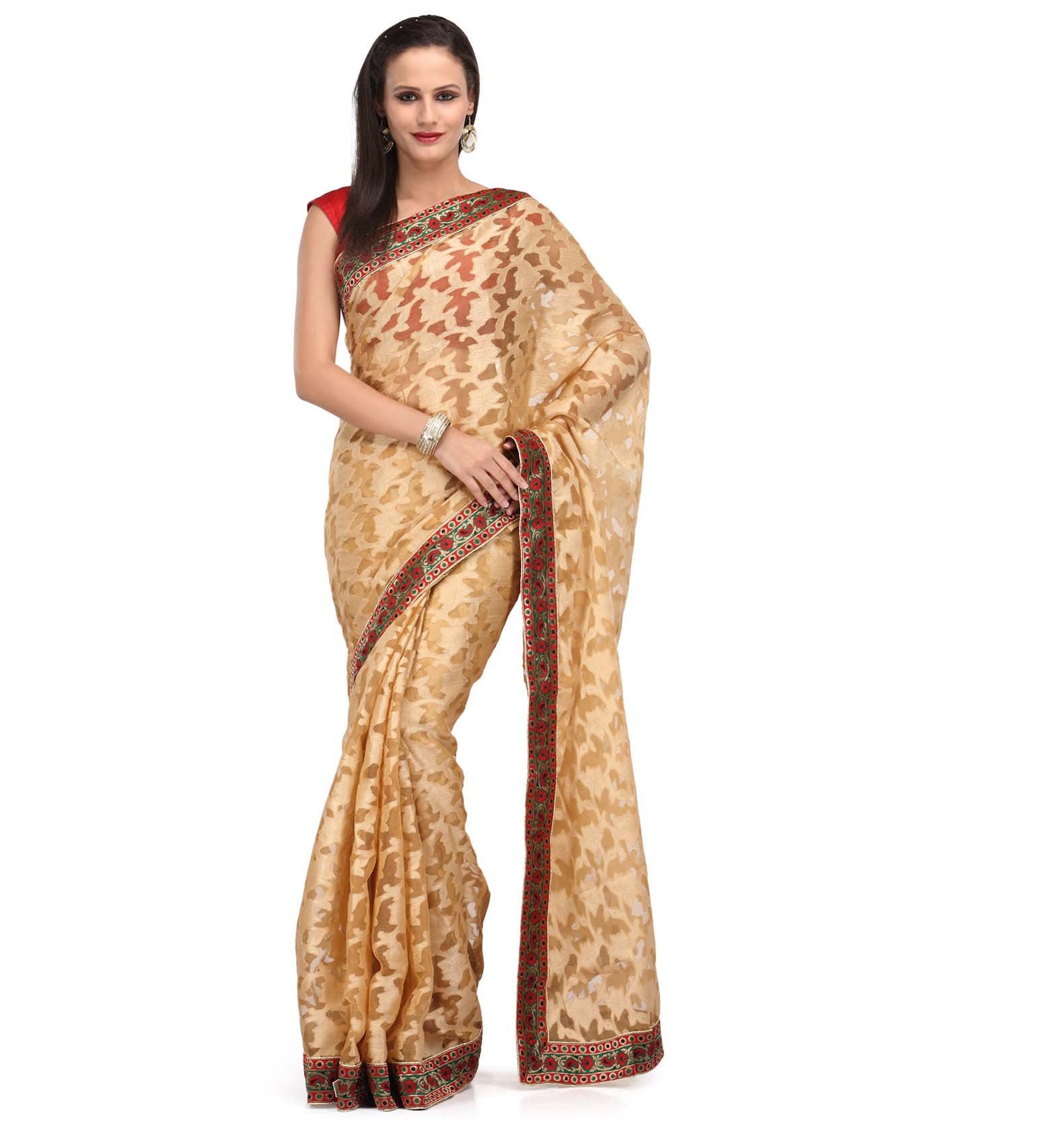 Beige Net Saree with Brocade Border