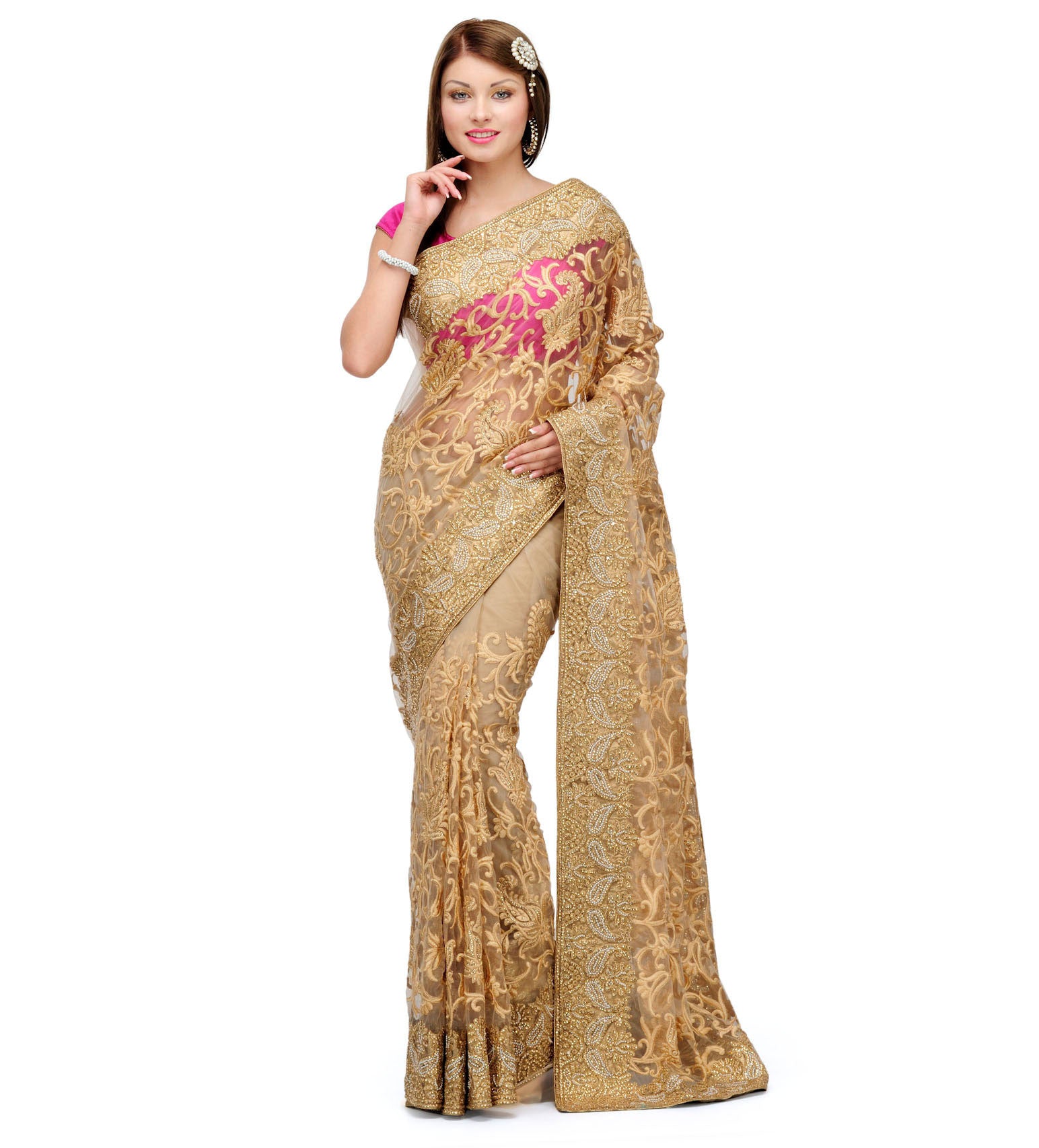 Beige Net Saree with Resham Work