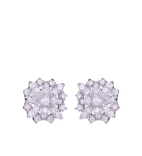 Flower Shaped Stone Studded Earrings