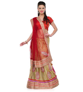 Maroon and Beige Net Lehenga Saree