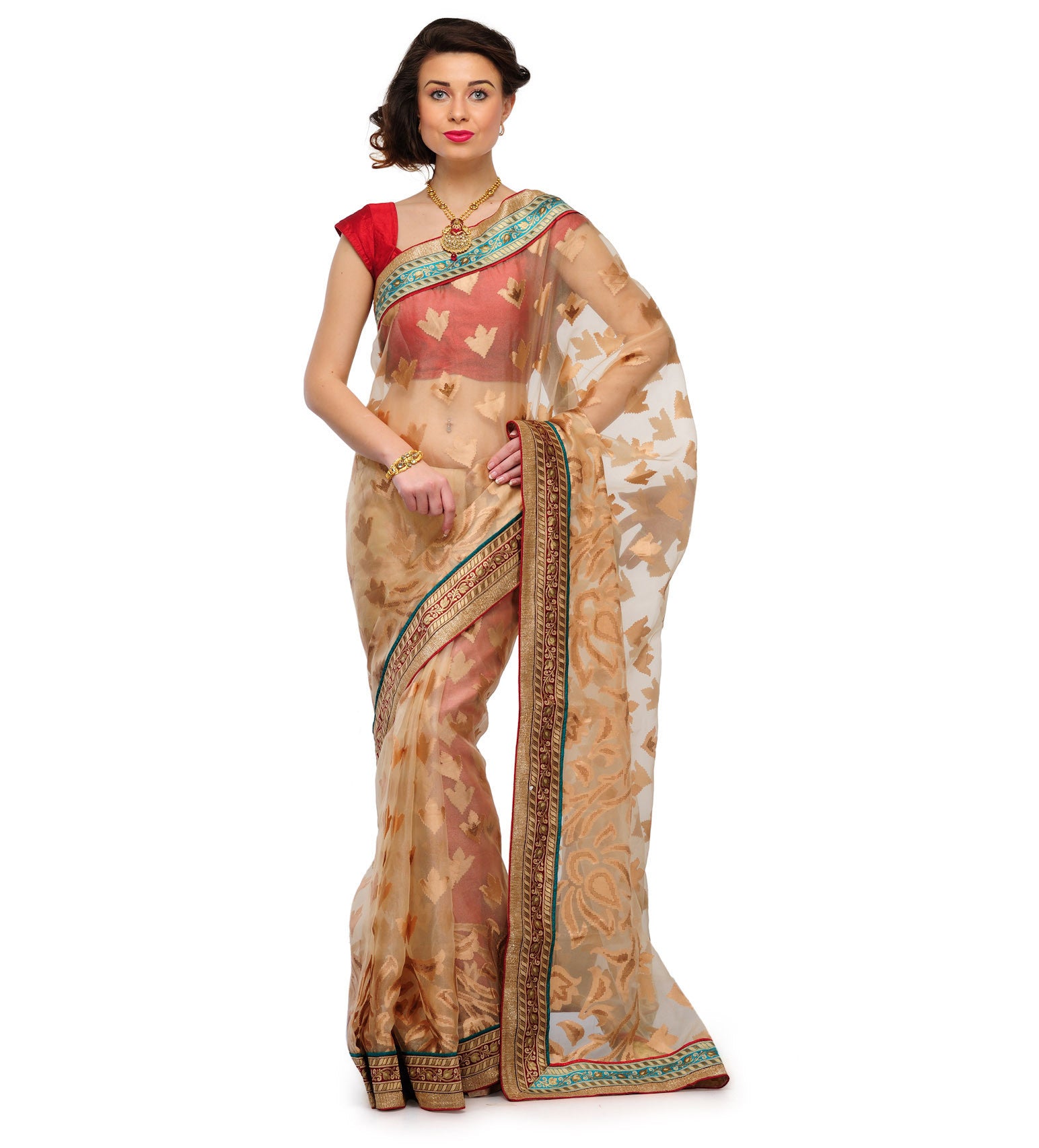 Beige Tissue Saree