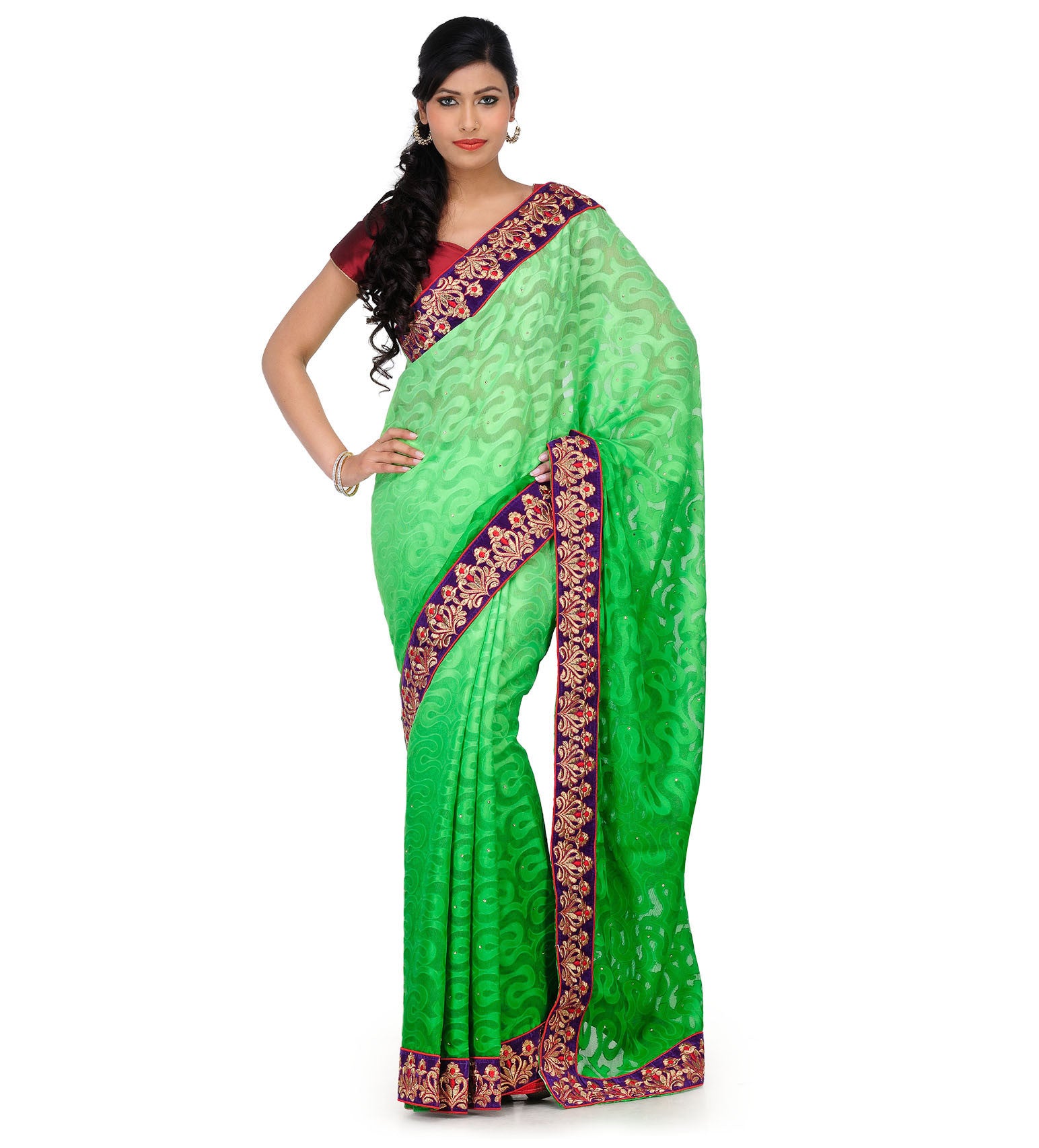 Green Shaded Net Brasso Saree