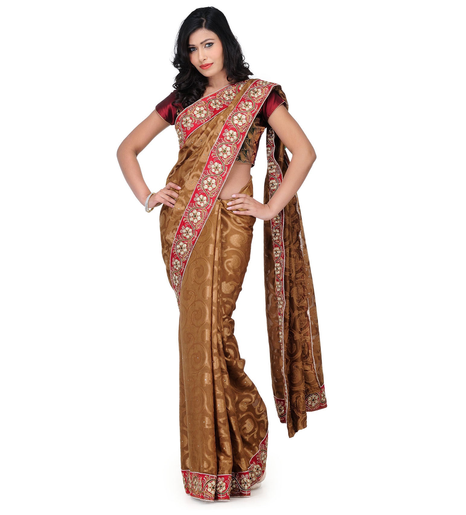 Brown Net Brasso Saree